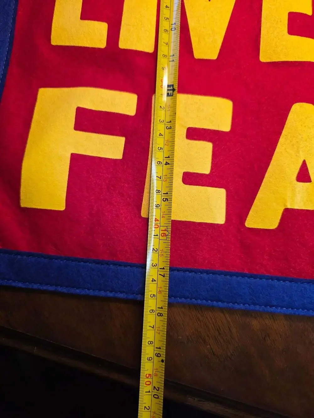 Oxford Pennant Never Live In Fear Camp Flag